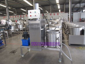 yz型水果榨汁机与高效胡萝卜收汁压榨机在压滤机租赁中的应用