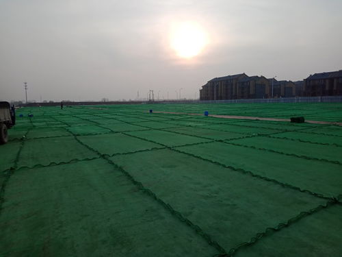 蚌埠市泥土与泥浆固化剂供应及租赁服务详解